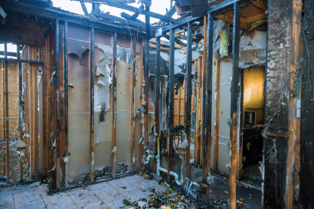 Professional Smoke Damage Removal technician working in Chalfont, PA